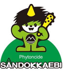 SANDOKKAEBI